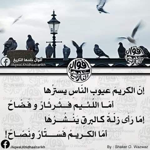 ���� ���� ������ �� ���� ������