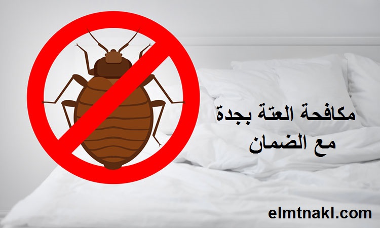 شركة رش حشرات بجدة