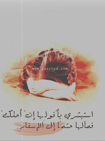 ���� ���� ������ �� ���� ������