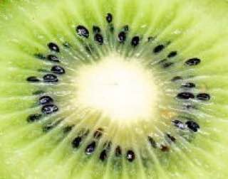 p_1513i6myk1.jpg