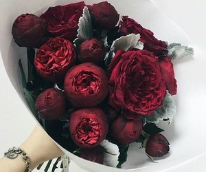 p_15478069c0.jpg