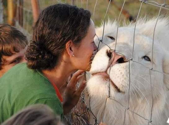 ���� ���� ������ �� ���� ������