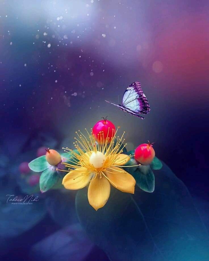 ���� ���� ������ �� ���� ������