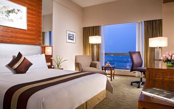 التركية 2021 p_1777tl9441.jpg