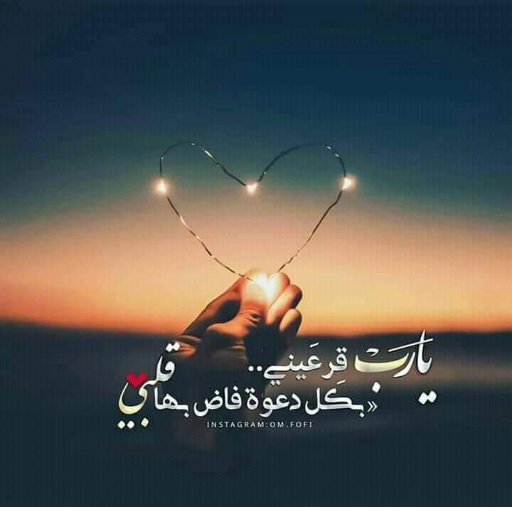 ���� ���� ������ �� ���� ������