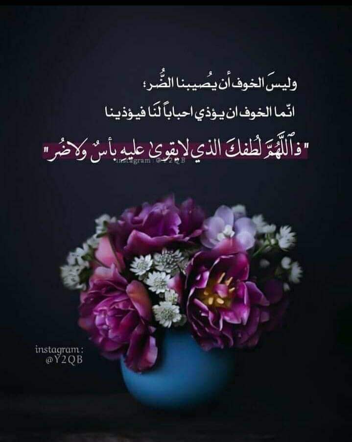 ���� ���� ������ �� ���� ������