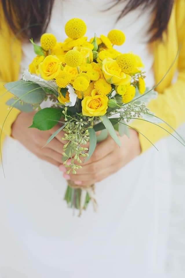 ���� ���� ������ �� ���� ������