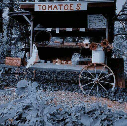 ���� ���� ������ �� ���� ������