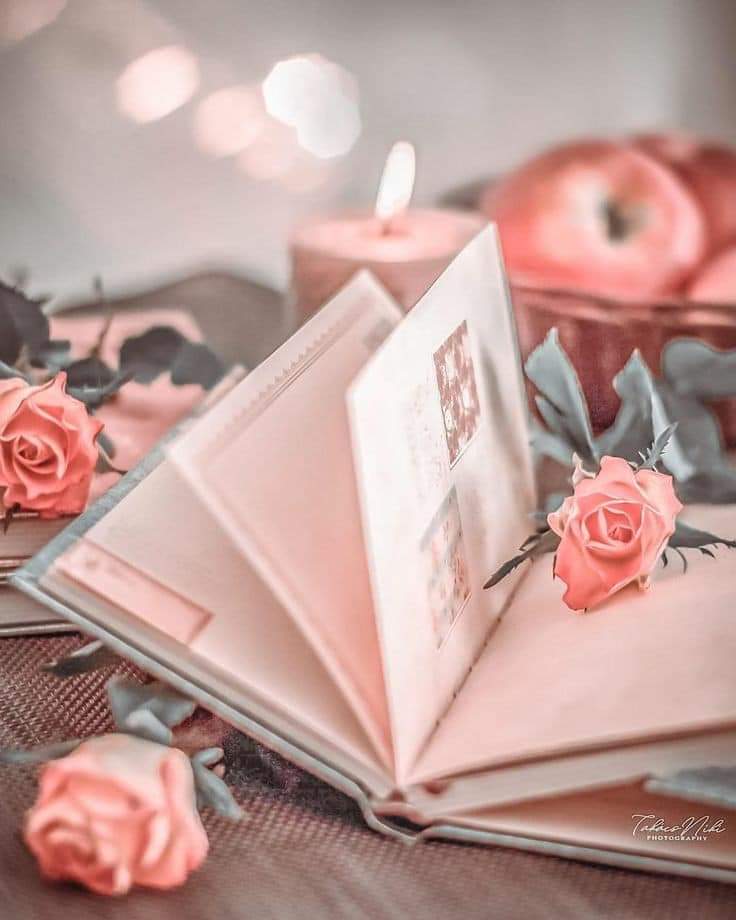 ���� ���� ������ �� ���� ������