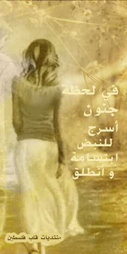 ���� ���� ������ �� ���� ������