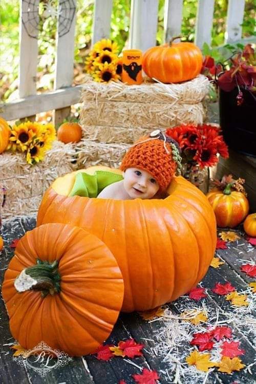 ���� ���� ������ �� ���� ������