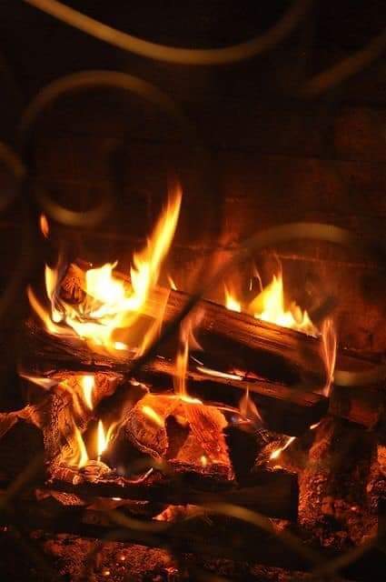 ���� ���� ������ �� ���� ������