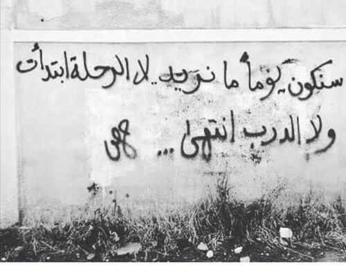 ���� ���� ������ �� ���� ������