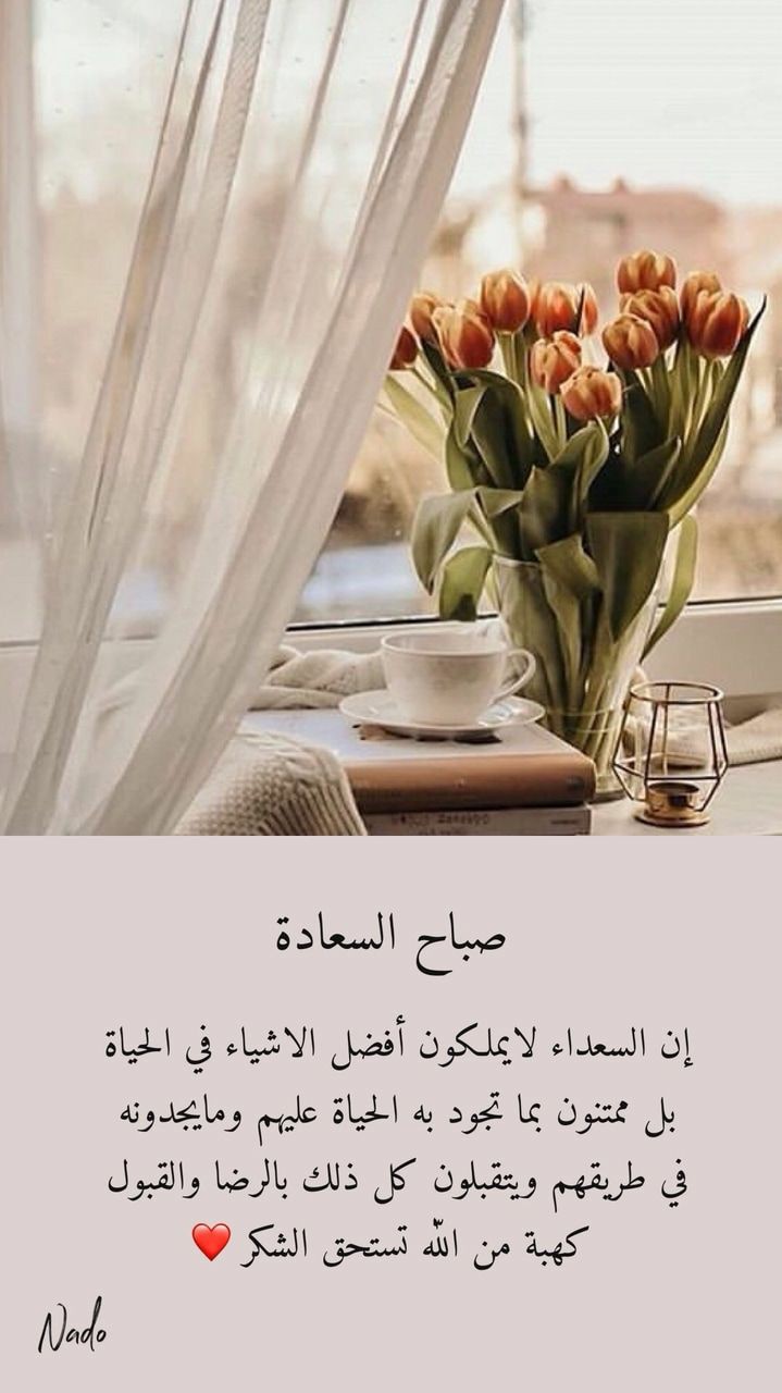 ���� ���� ������ �� ���� ������