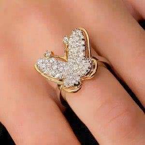 ���� ���� ������ �� ���� ������