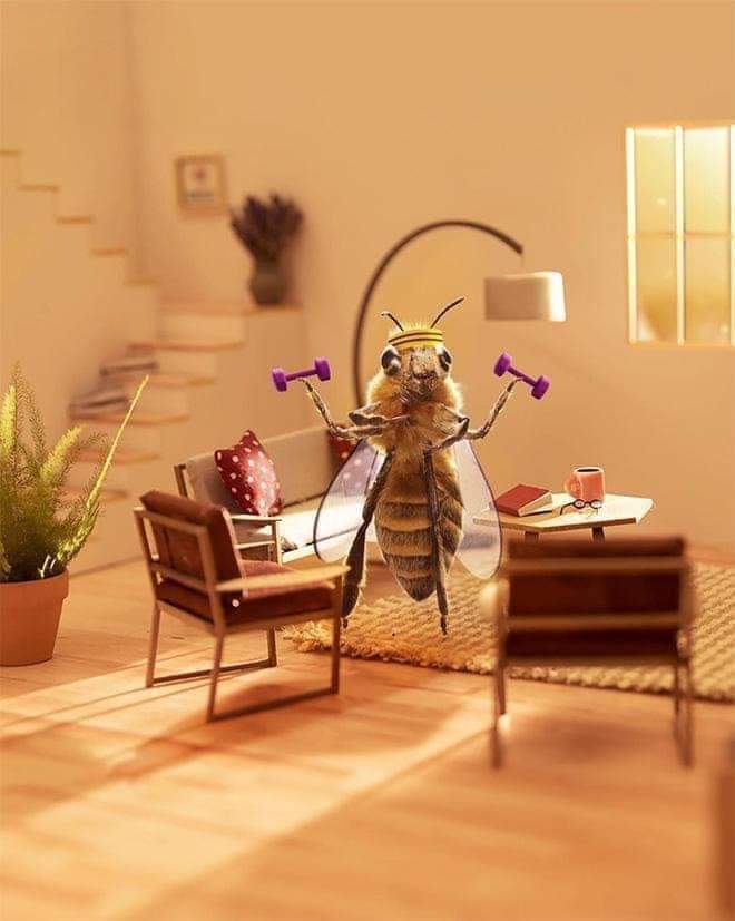 ���� ���� ������ �� ���� ������