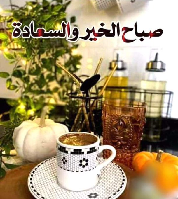 ``~~~~صباح الخير````^مساء النور - صفحة 92 P_2216iqaoq1