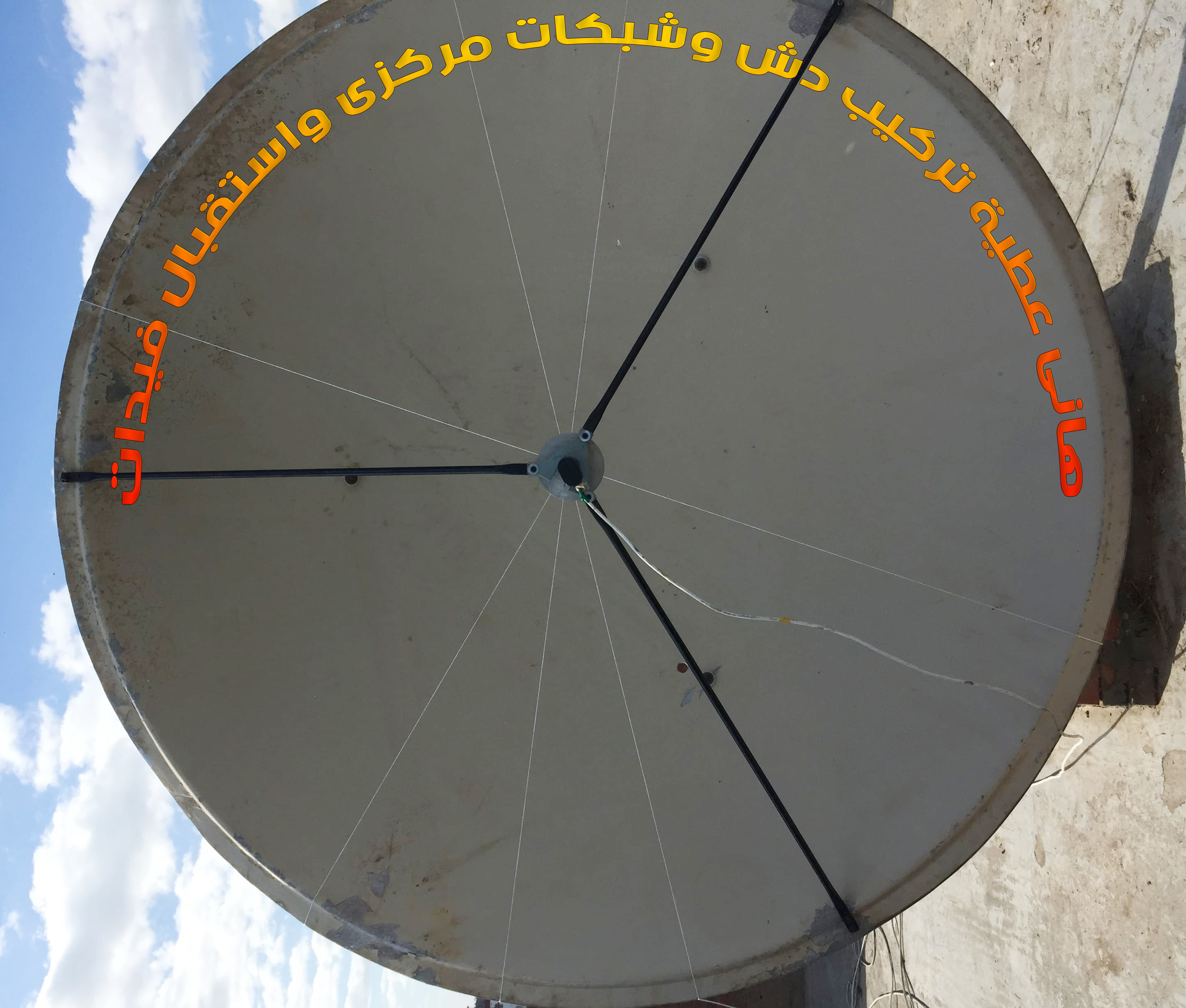 p_22608owml1.jpg