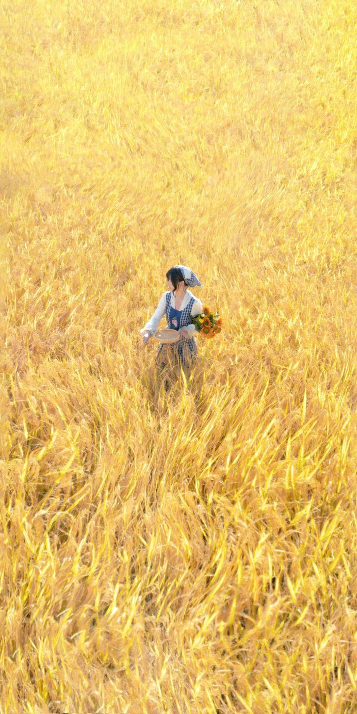 ���� ���� ������ �� ���� ������