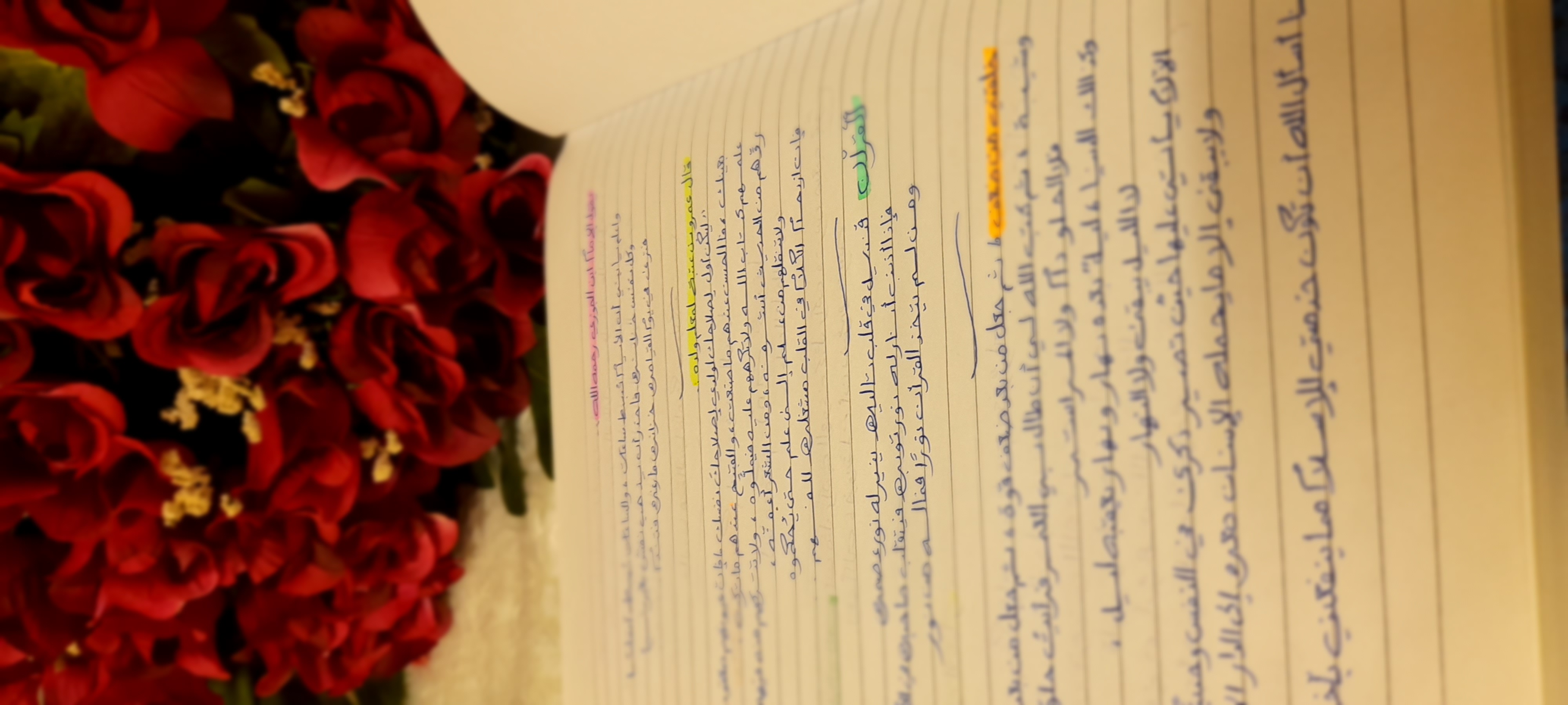 ���� ���� ������ �� ���� ������