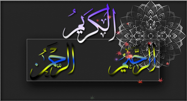 نقره لعرض الصورة في صفحة مستقلة