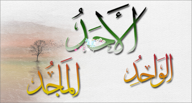 نقره لعرض الصورة في صفحة مستقلة