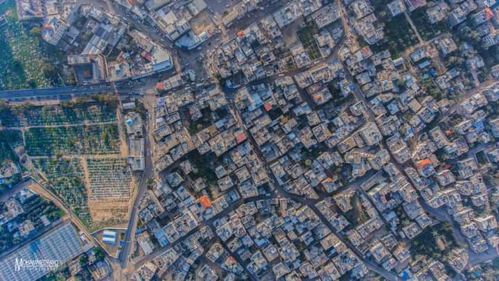 ���� ���� ������ �� ���� ������