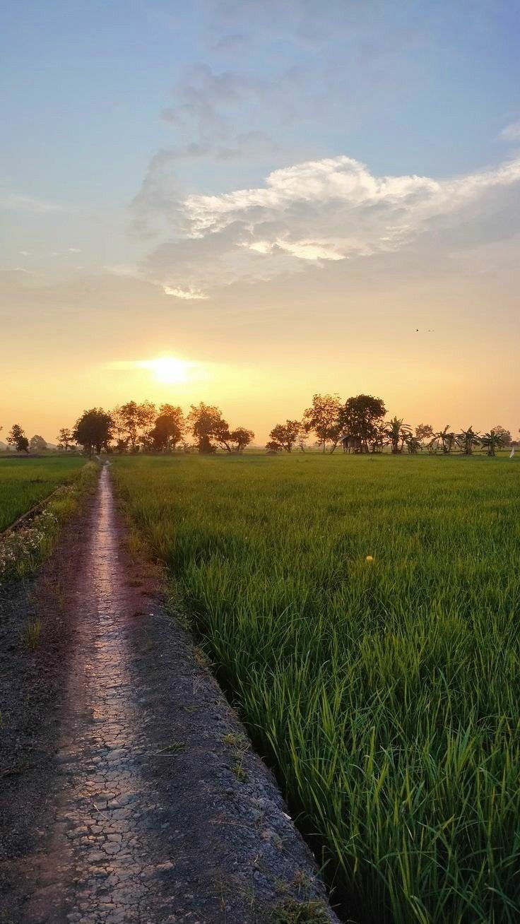 ���� ���� ������ �� ���� ������