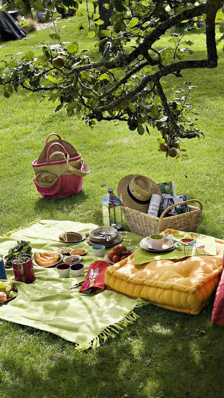 ���� ���� ������ �� ���� ������