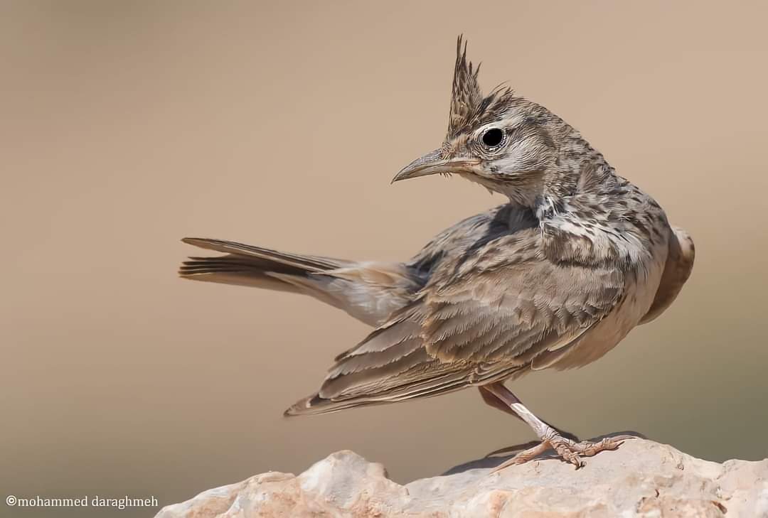 ���� ���� ������ �� ���� ������