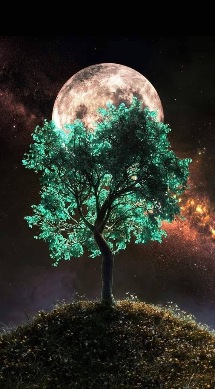 ���� ���� ������ �� ���� ������