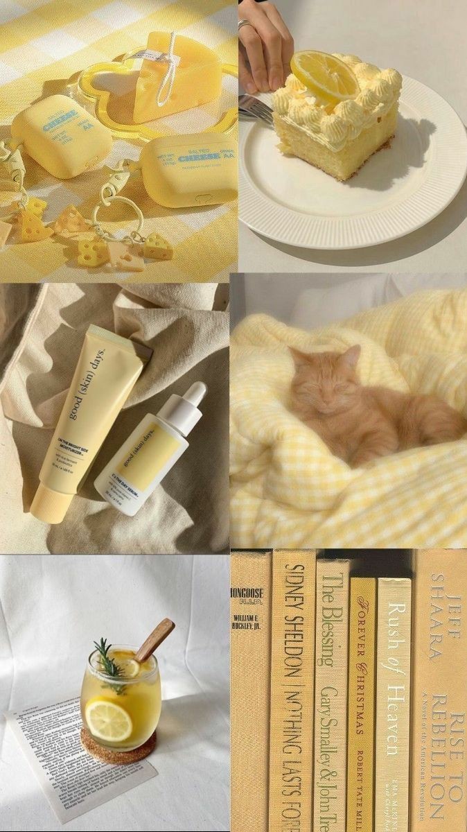 ���� ���� ������ �� ���� ������