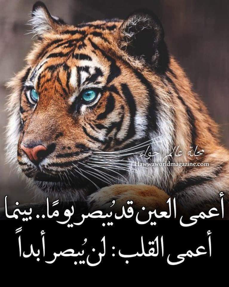 ���� ���� ������ �� ���� ������