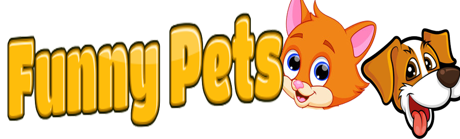 Funny Pets Blog