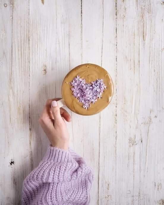 ���� ���� ������ �� ���� ������