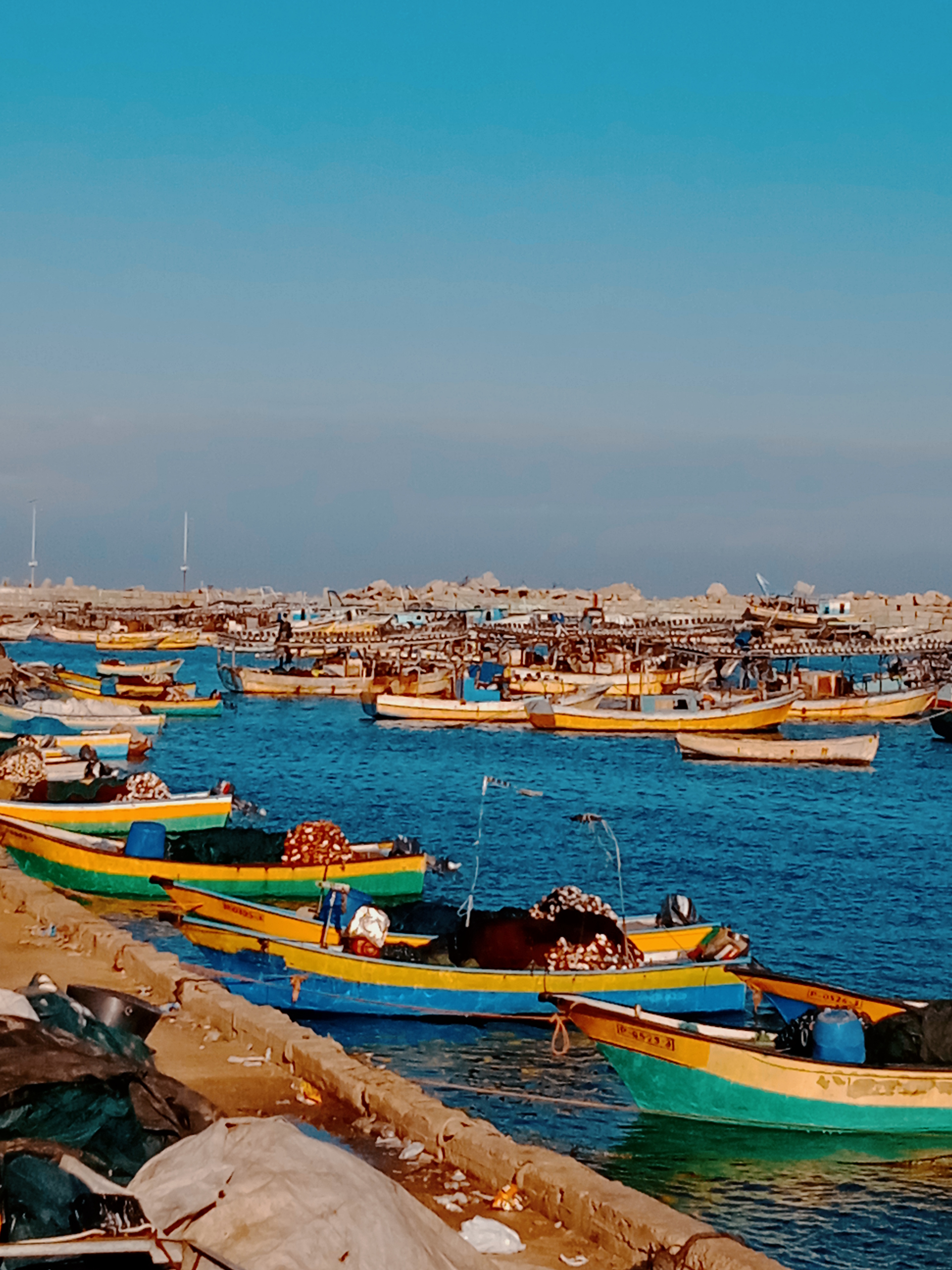 نقره لعرض الصورة في صفحة مستقلة