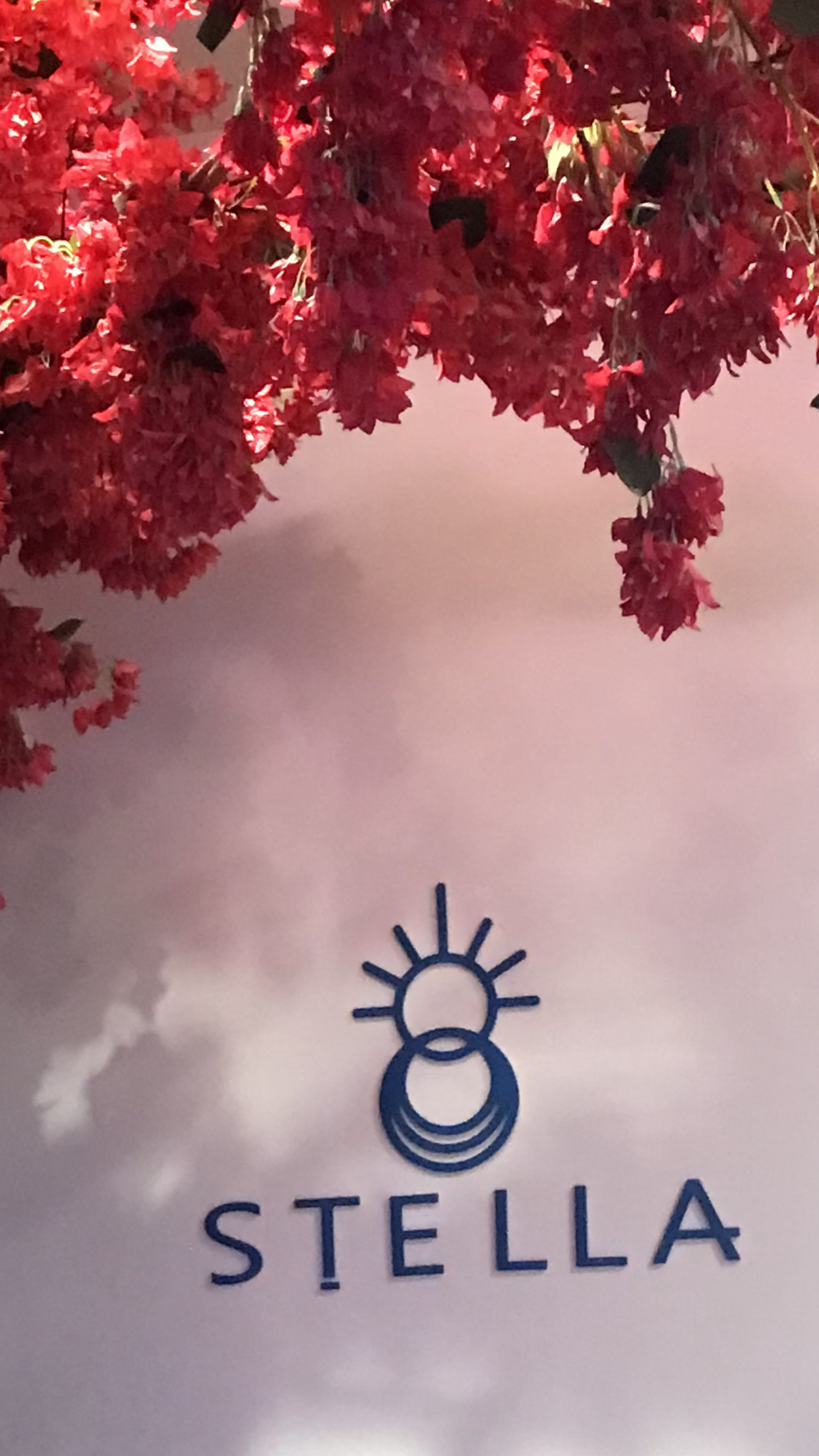 ���� ���� ������ �� ���� ������