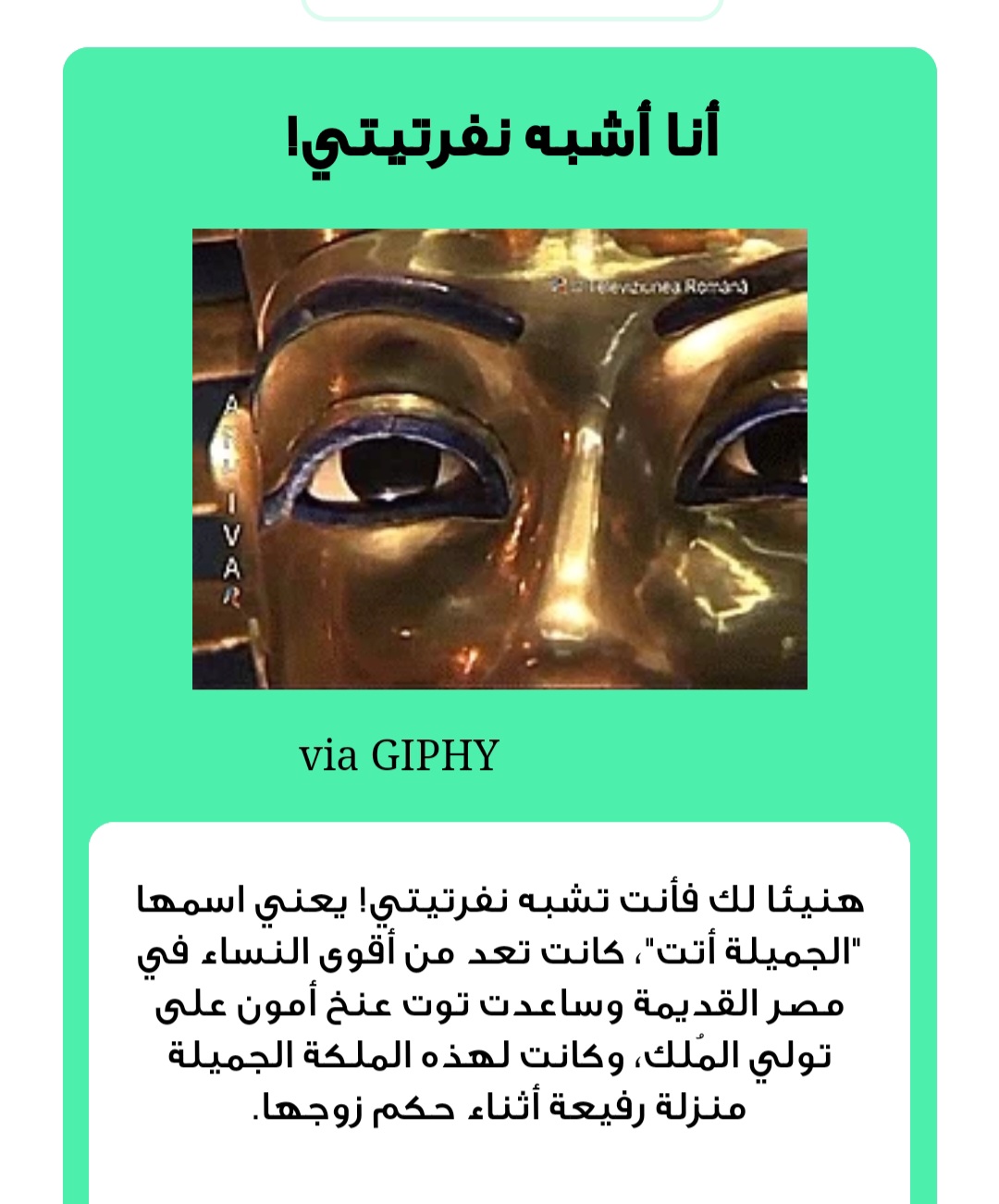 ���� ���� ������ �� ���� ������