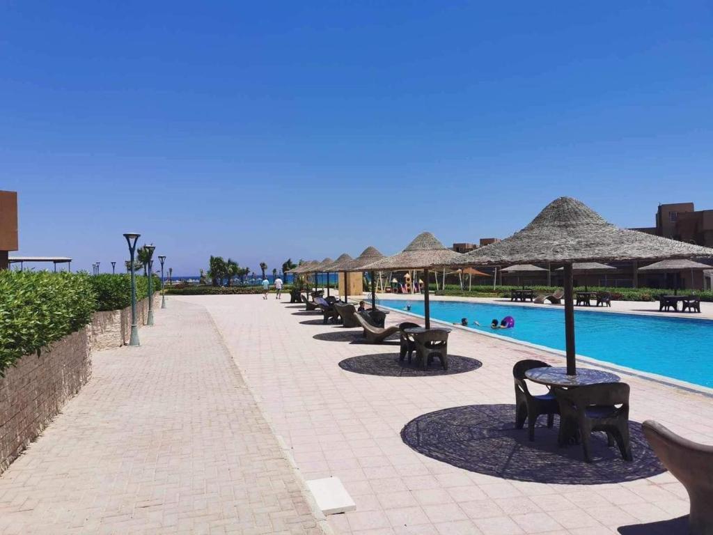 Hijaz Oasis 7