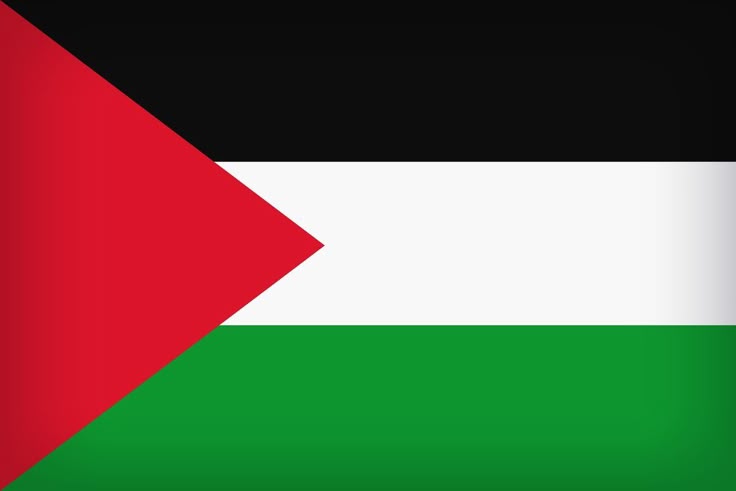 Free Palestine Flag