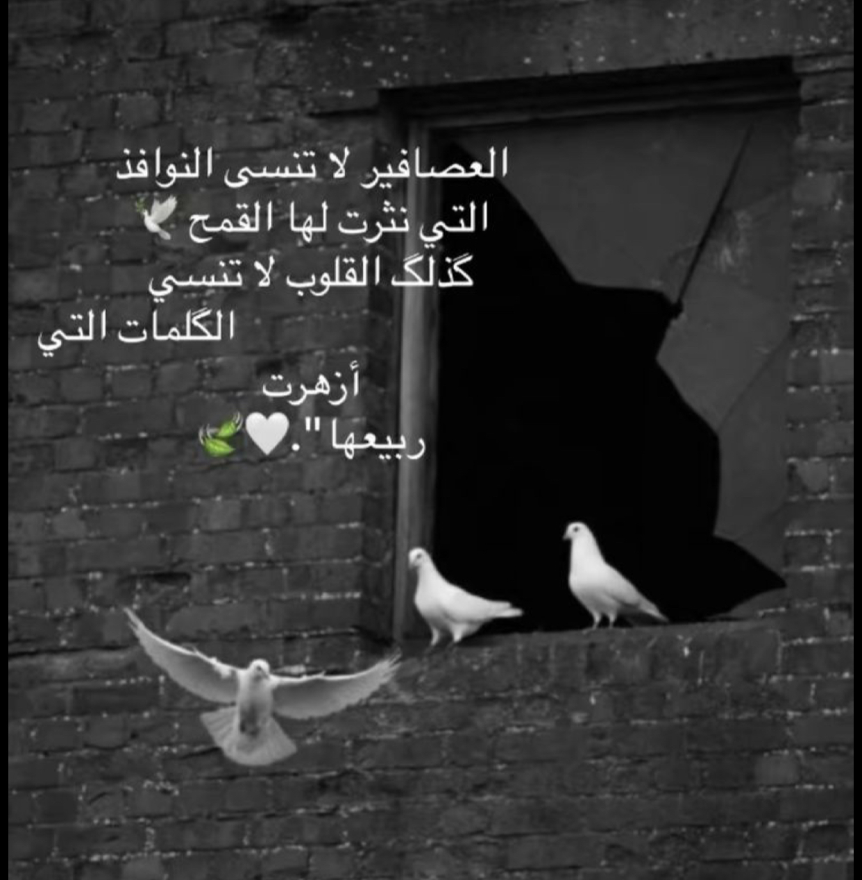 ������ ���� ������ �� ���� ������