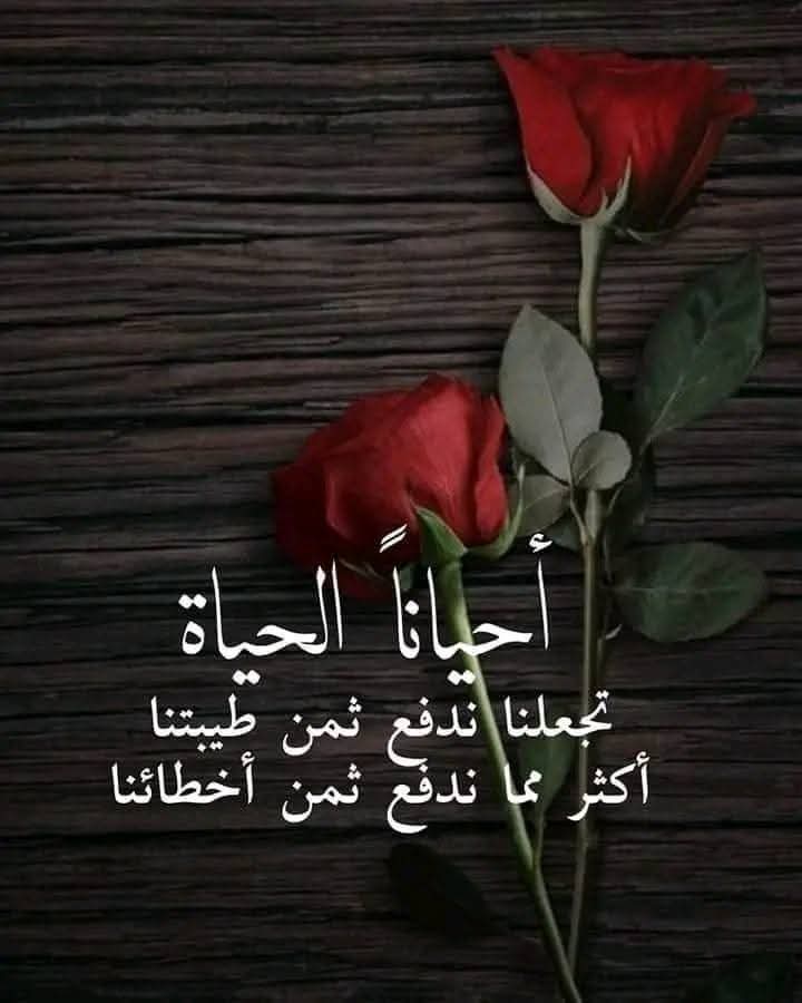 ������ ������ 