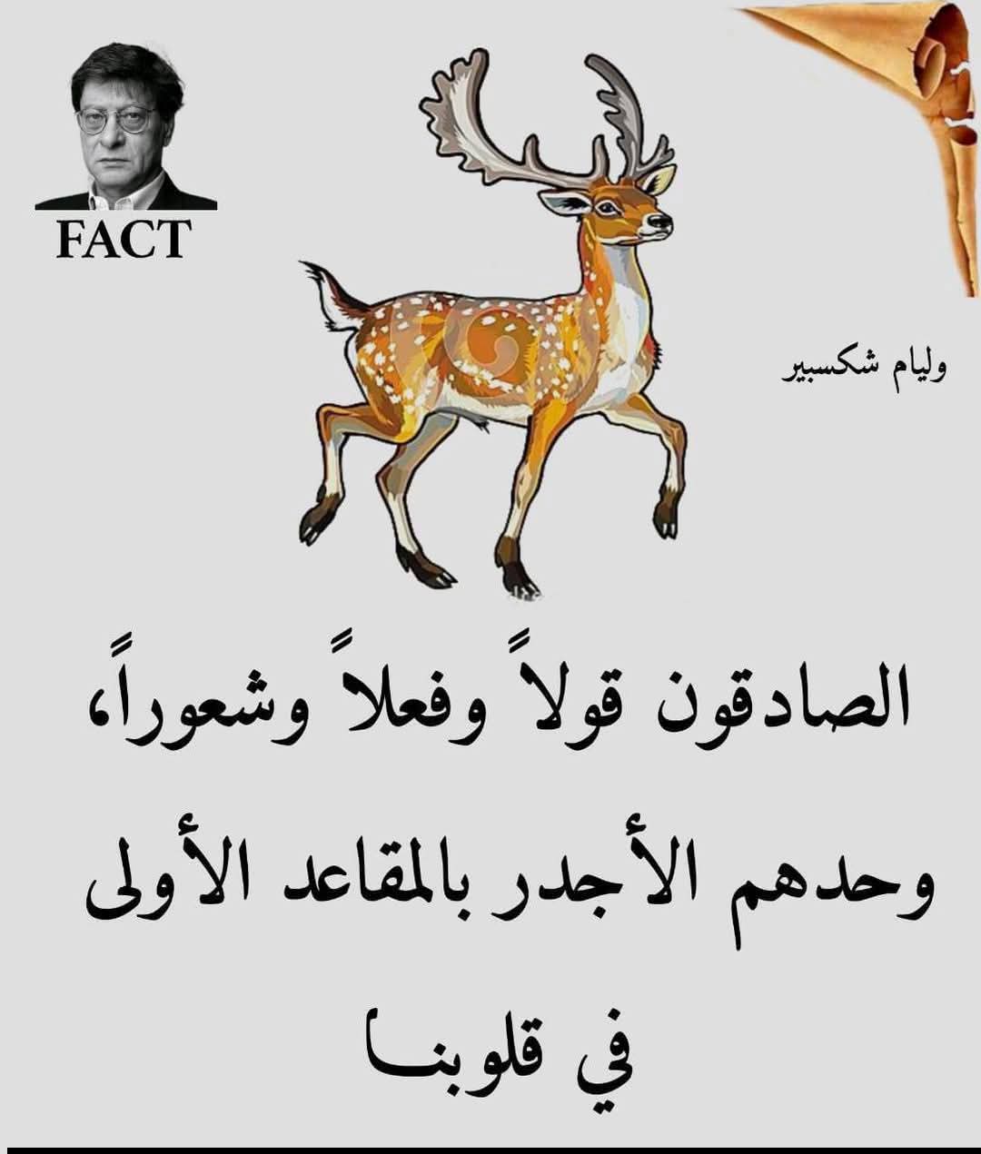 �������� ���� ����� ������ 