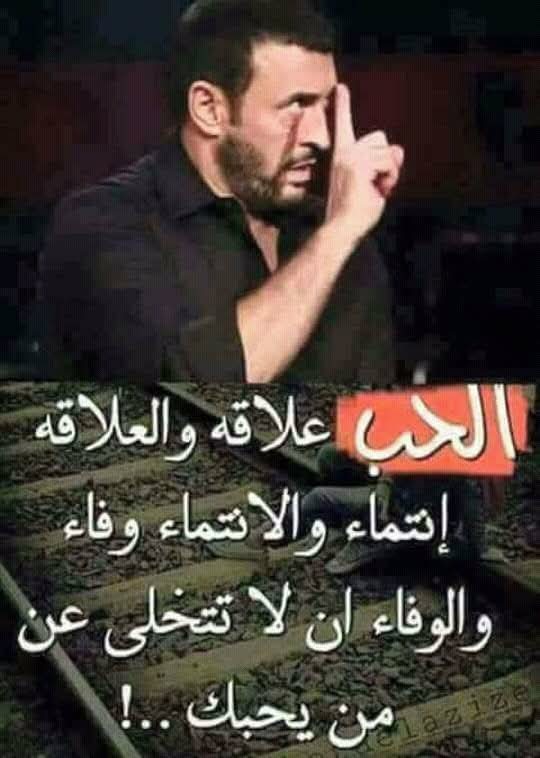 ������ ���� ����� 