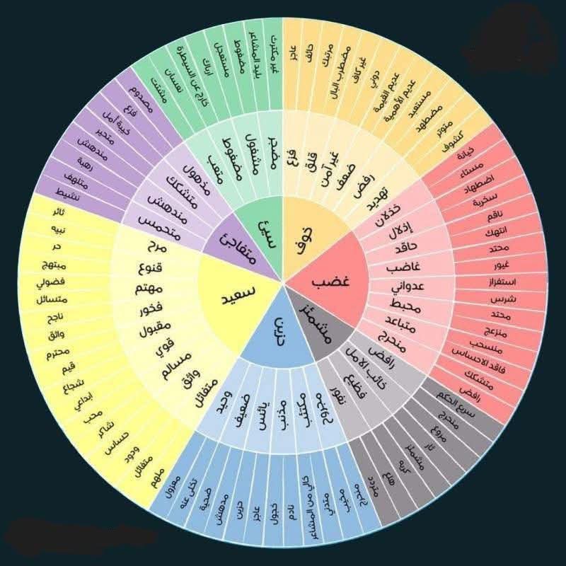 🧠 ������ ����� ��� ������: 