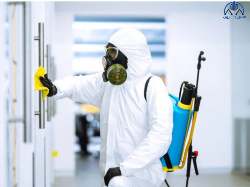 شركة مكافحة الحشرات بالرياض