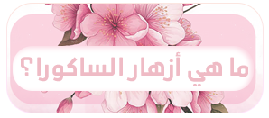 p_3777s724u1.png