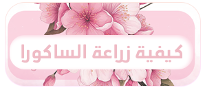p_3779rtwdx1.png